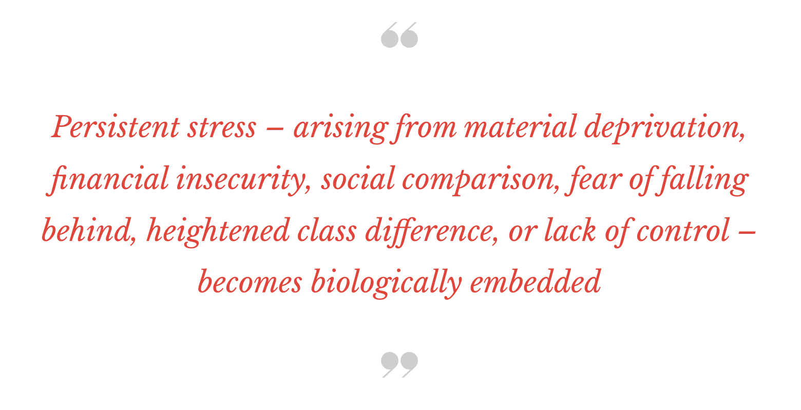 Screenshot%202026-01-29%20at%2012.36.39 Screenshot%202026-01-29%20at%2012.36.39